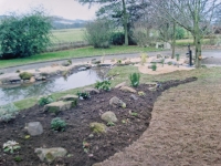 Landscaped pond 2