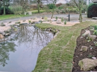 Landscaped pond 3