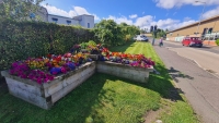 Hospital raised beds