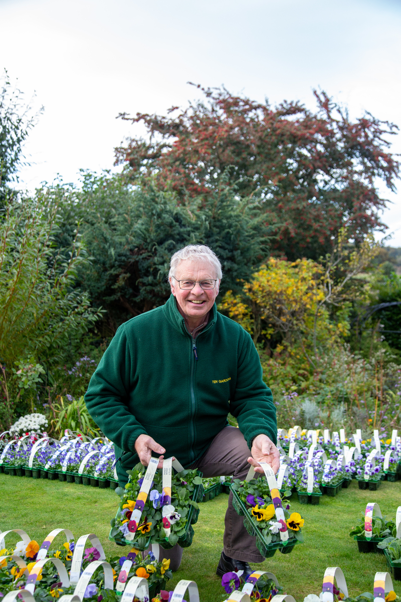 Bedding Plants with Ewen